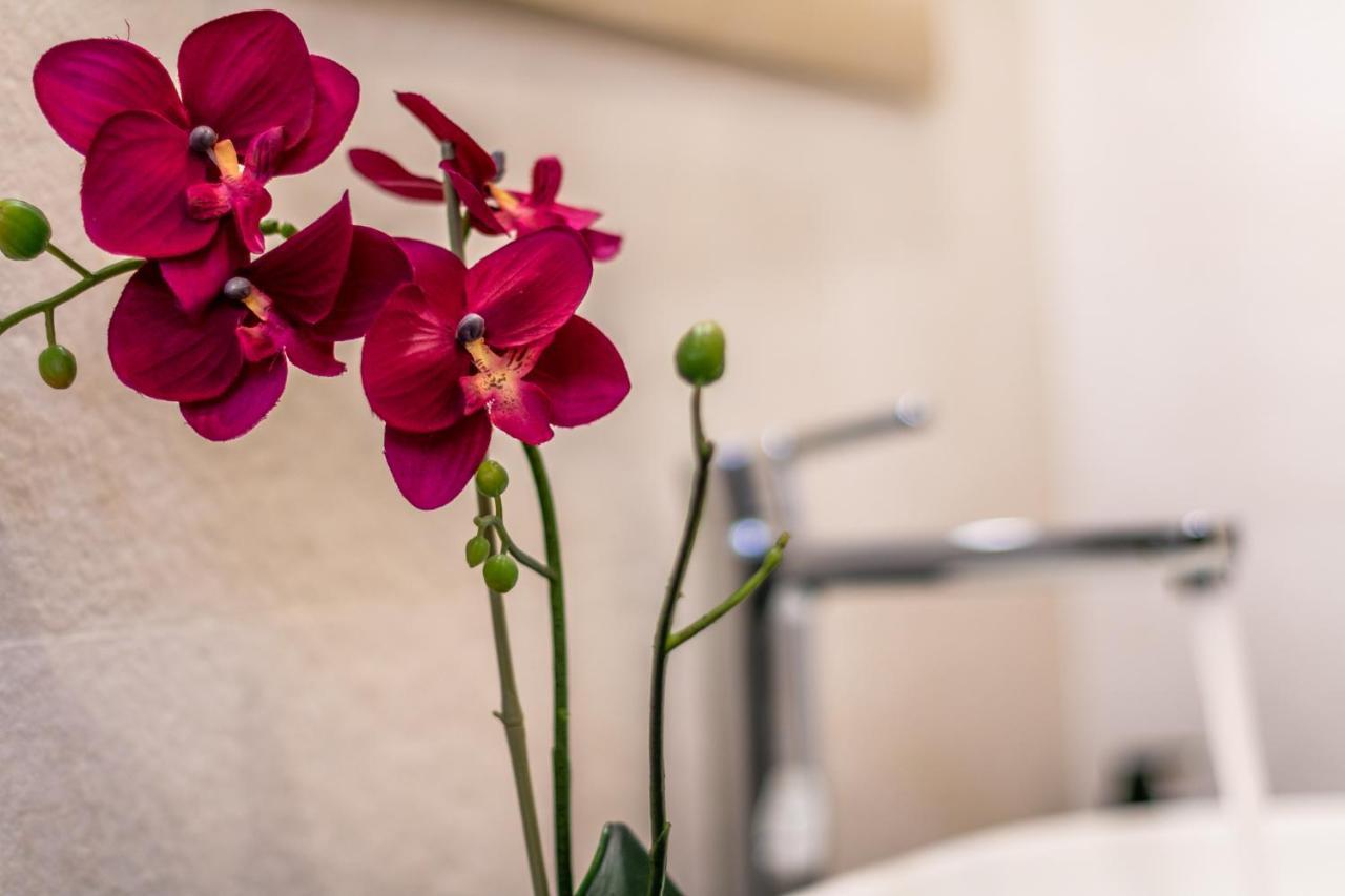 4 Star Suite SPA Bologna Exterior foto
